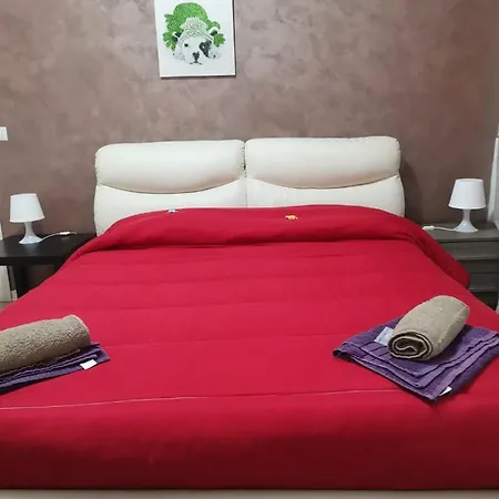 Bed & Breakfast Bed&fly Near Airport Fontanarossa Bagno Privato In *